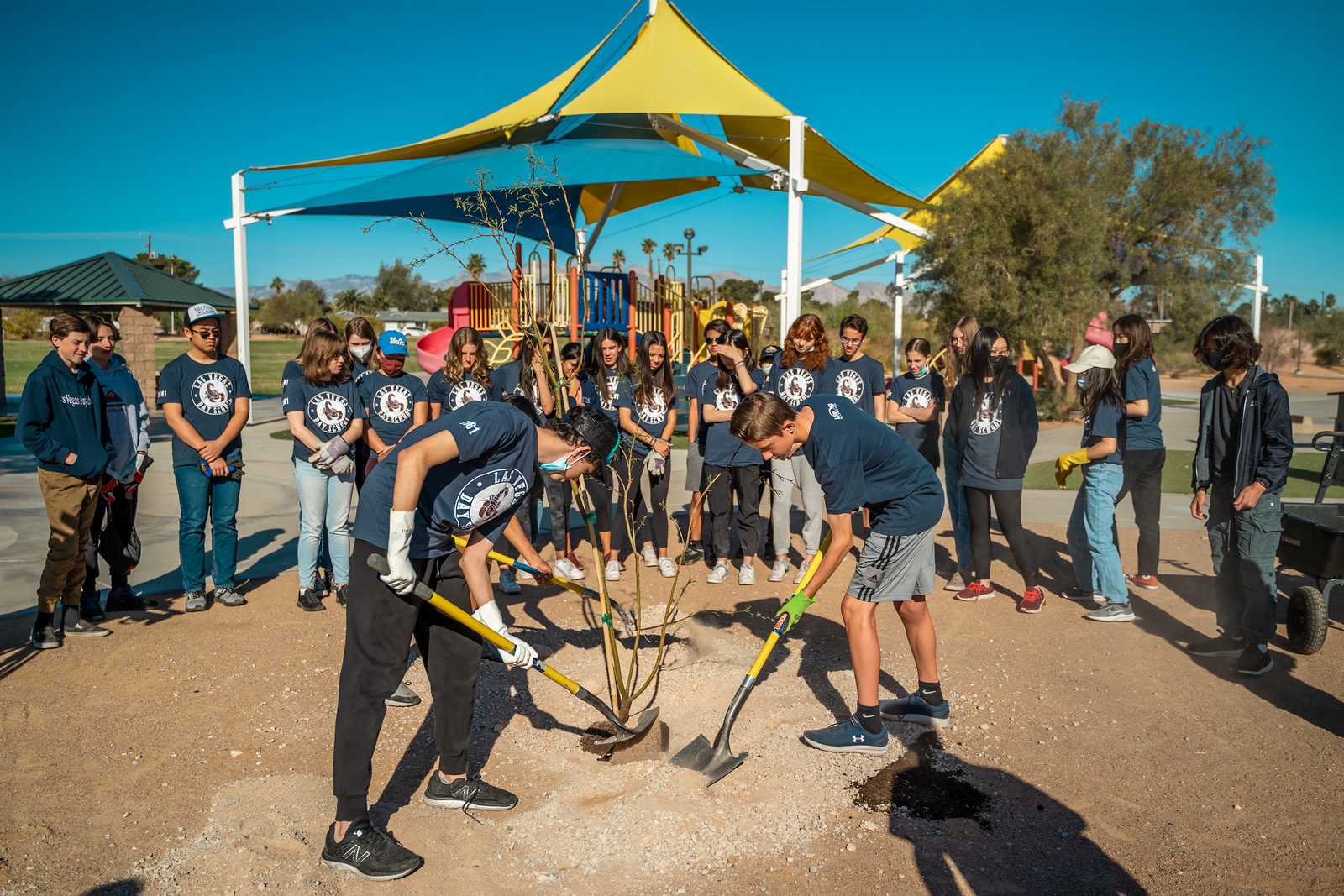 Ciudad de Las Vegas ofrece árboles gratuitos a residentes de códigos postales seleccionados
