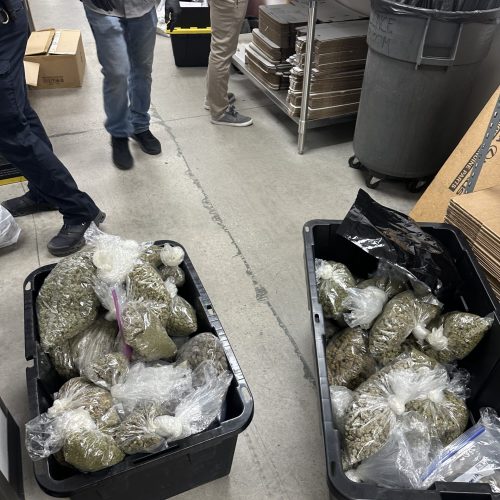 Importante decomiso de drogas y armas tras operativo en Reno