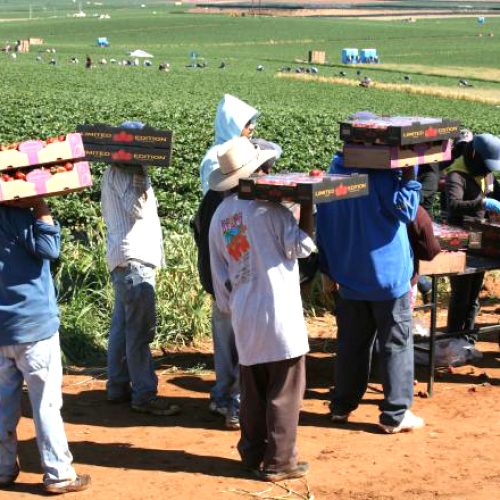 Congreso de Baja California analiza Plan de Justicia para San Quintín